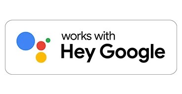 Google-Assistant