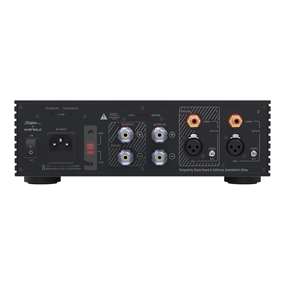EverSolo AMP-F2 – Image 10