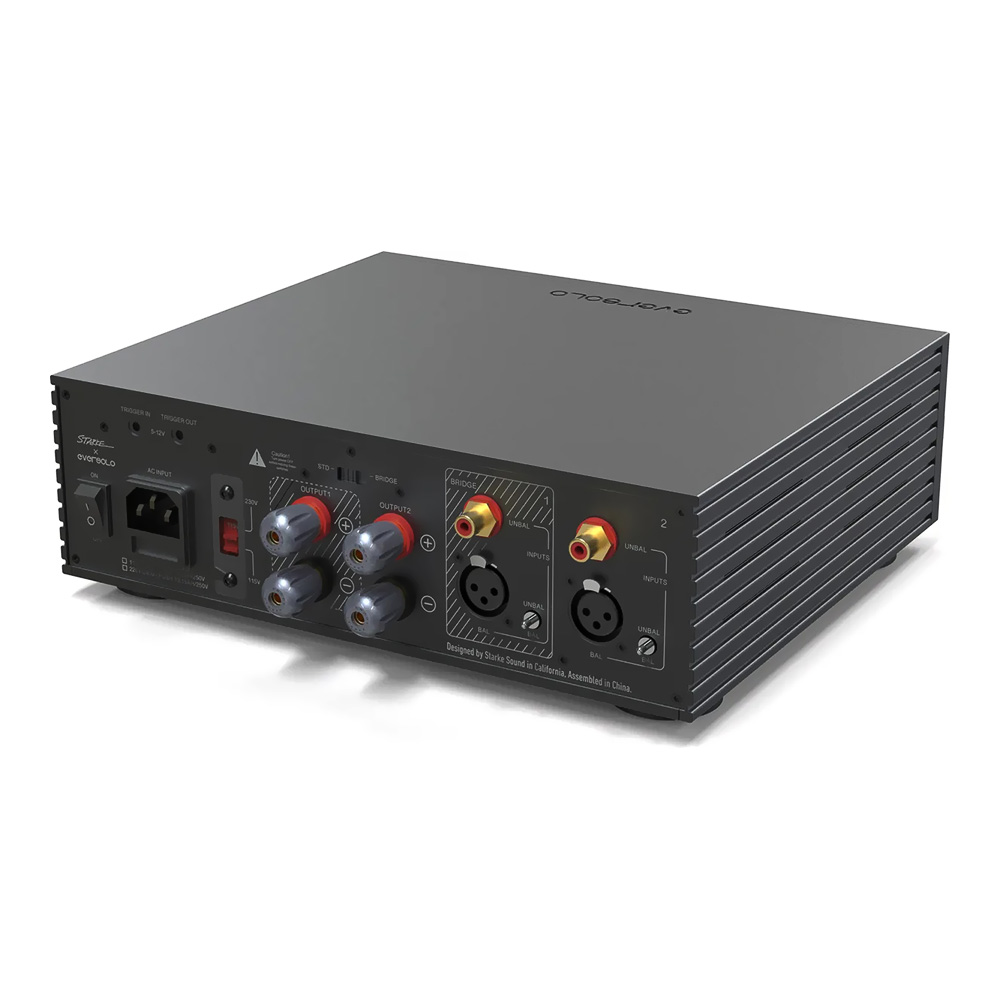 EverSolo AMP-F2 – Image 9