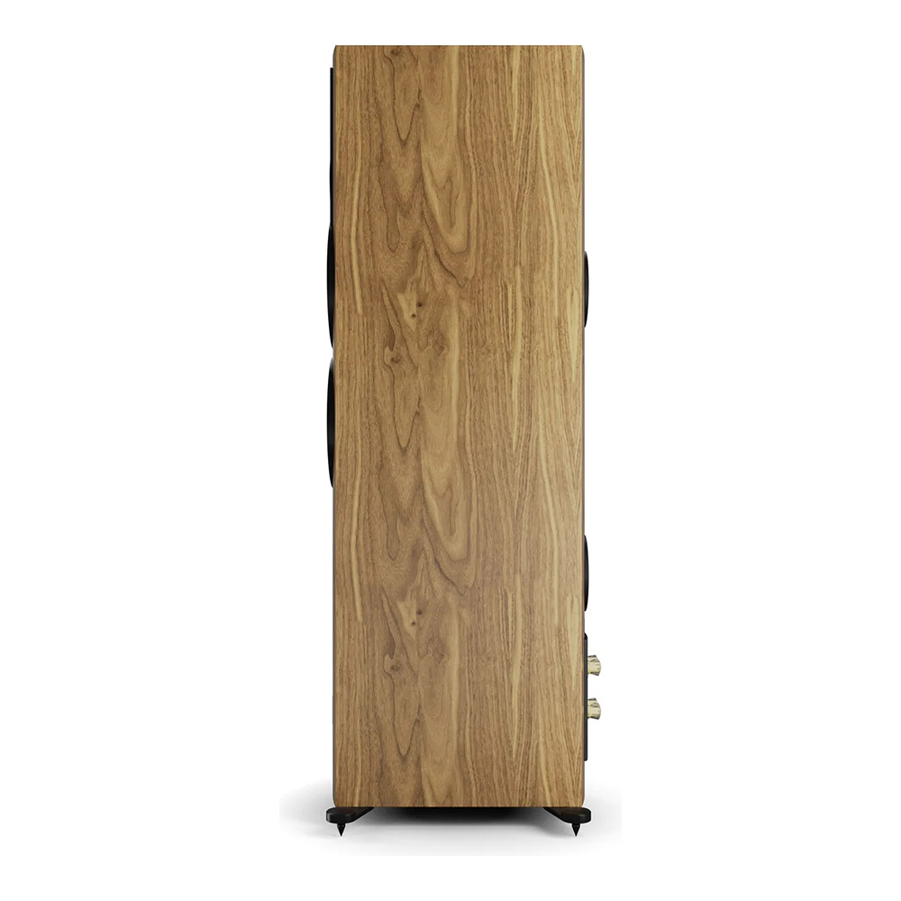 Dali Rubikore 6 – Image 5