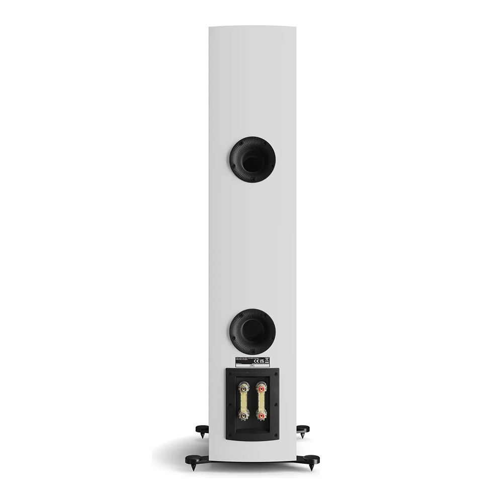 Dali Rubikore 6 – Image 16