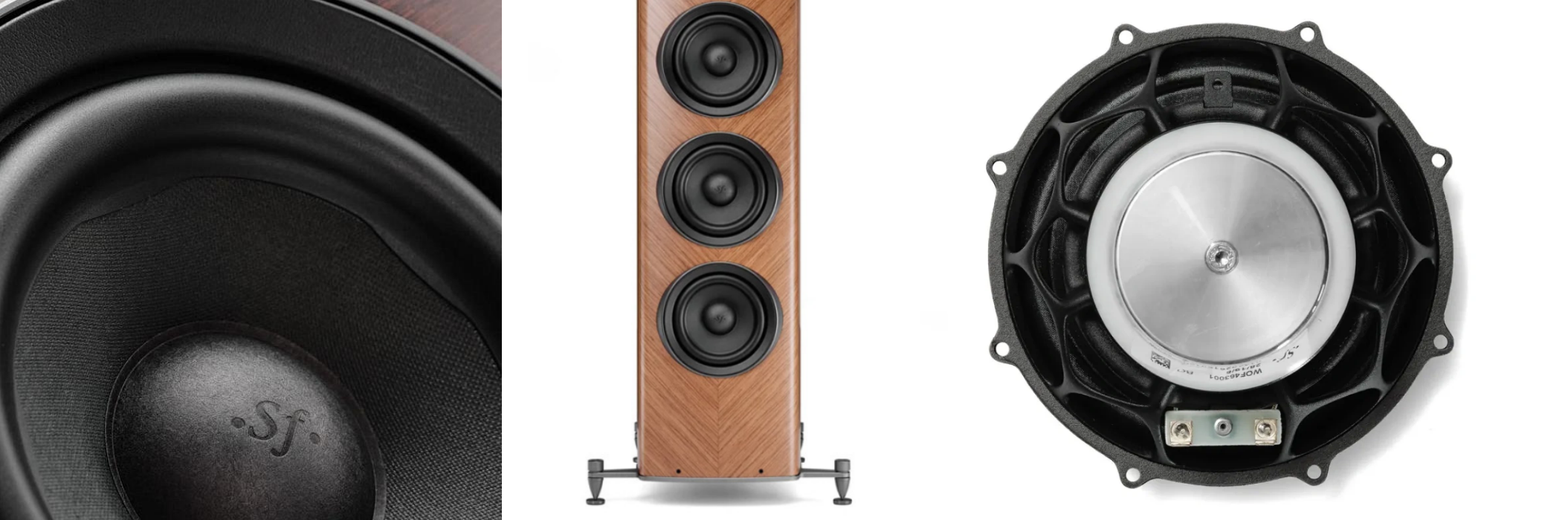 sonus faber olympica G3 V basse